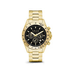 Power Babe Big Gold