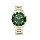 AMS. LXRY. Steel Gold Silver Green