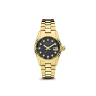 Dare Devil XS Gold Gray